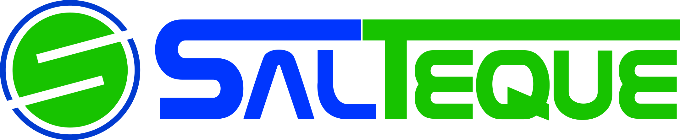 Salteque Logo